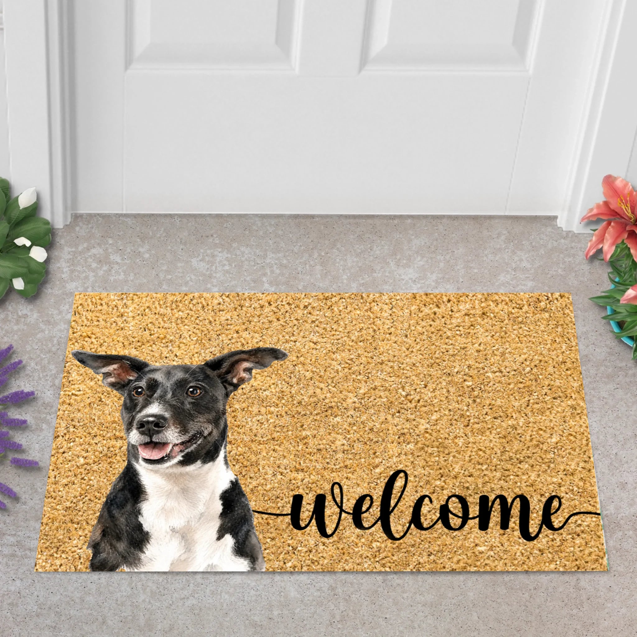Preview-Doormat 2