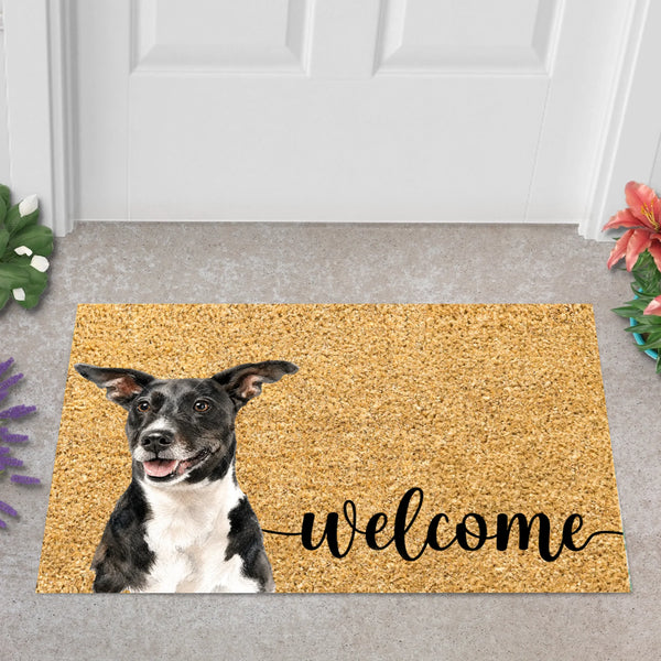 Pet Memorial